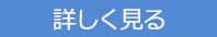 詳しく見る